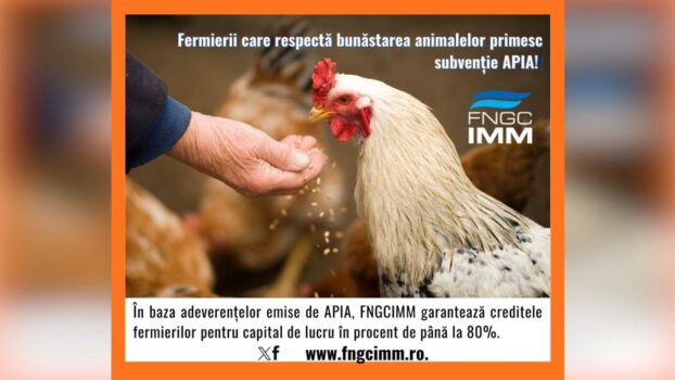 FNGCIMM continuă și în 2026 sprijinul pentru fermieri: acces mai ușor la credite garantate!