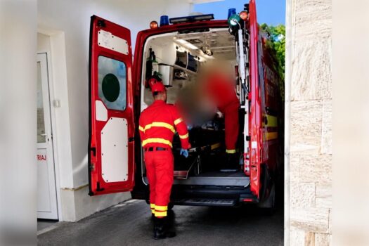 Argeș. Mușcat de urs, tânărul de 23 de ani a ripostat și l-a lovit cu pumnul