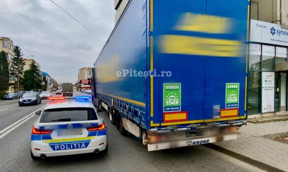Argeș. Descoperire șocantă după verificarea unui TIR
