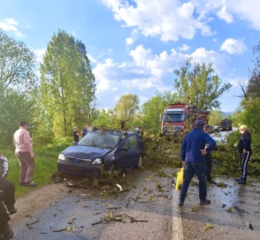 Argeș. Arbore doborât peste o mașină! Trafic blocat!