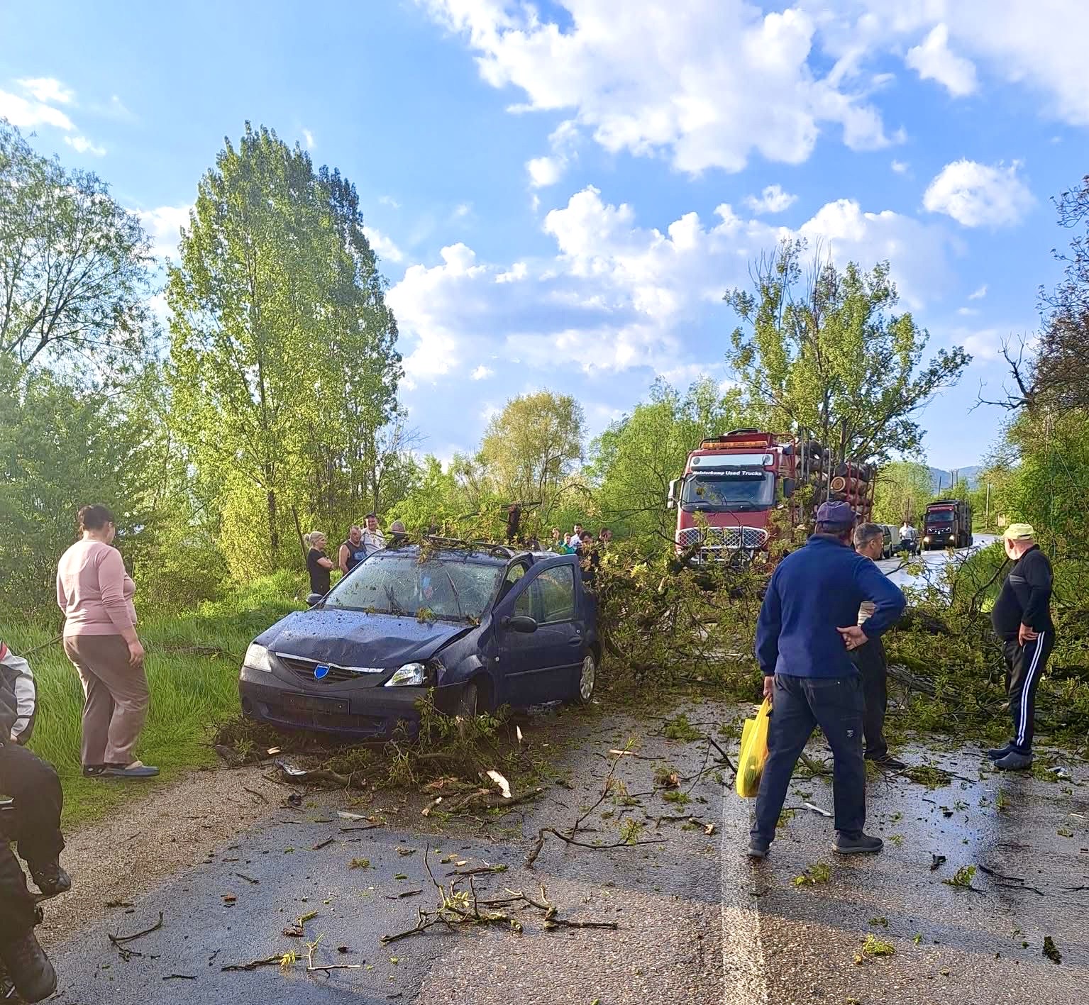Argeș. Arbore doborât peste o mașină! Trafic blocat!