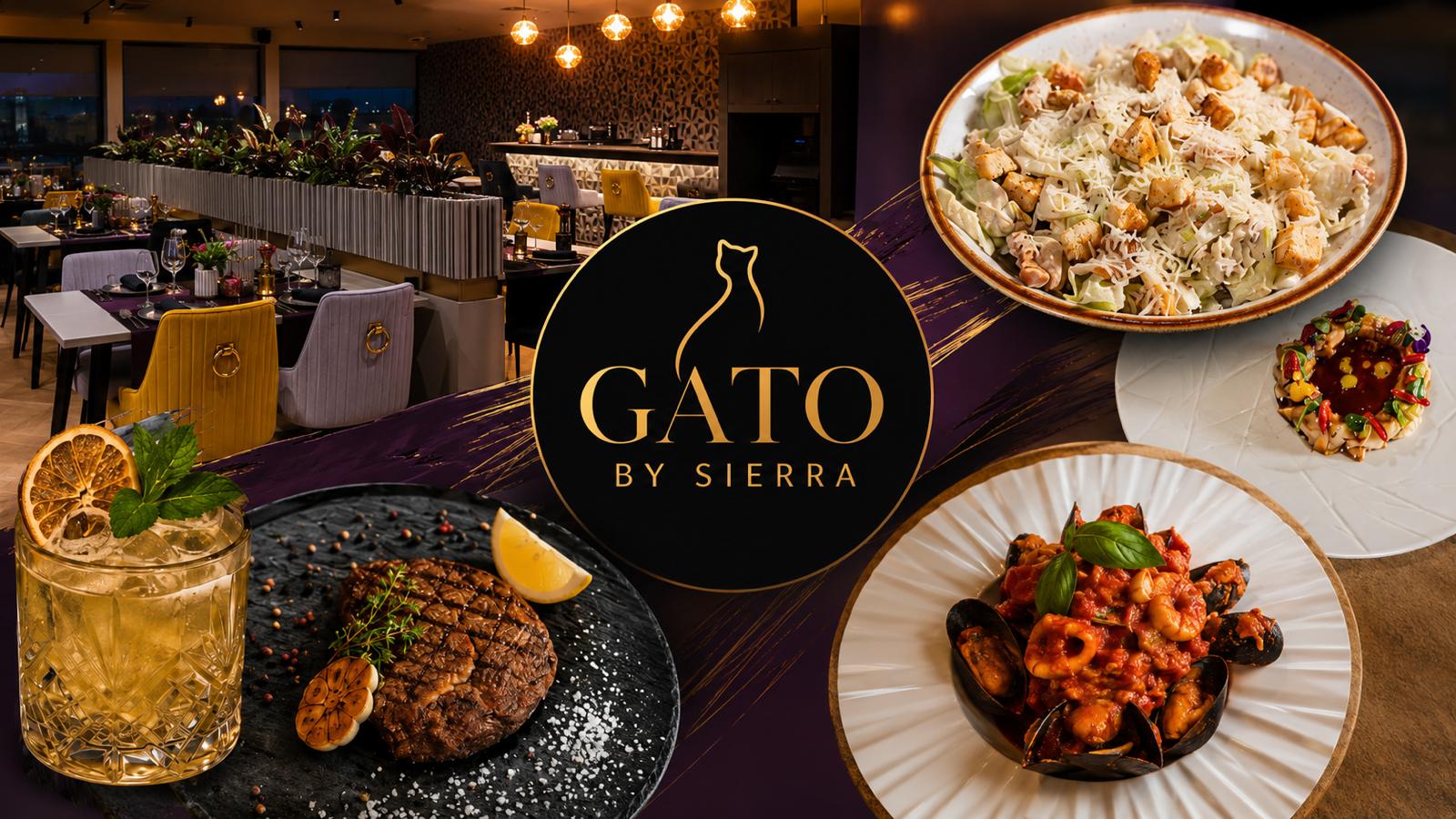 Experiență premium în farfurie! Gato by Sierra ridică standardele în Pitești