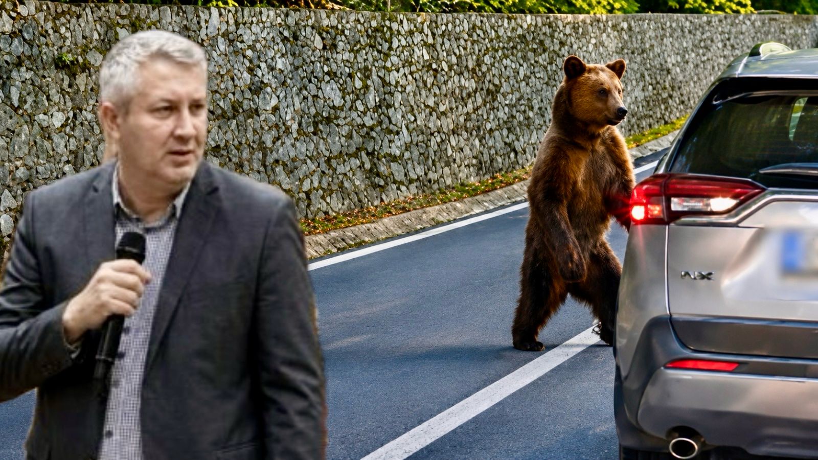 Prefectul județului Argeș, Sebastian NedeIcu, măsuri de ultim moment după atacul ursului de la Vidraru