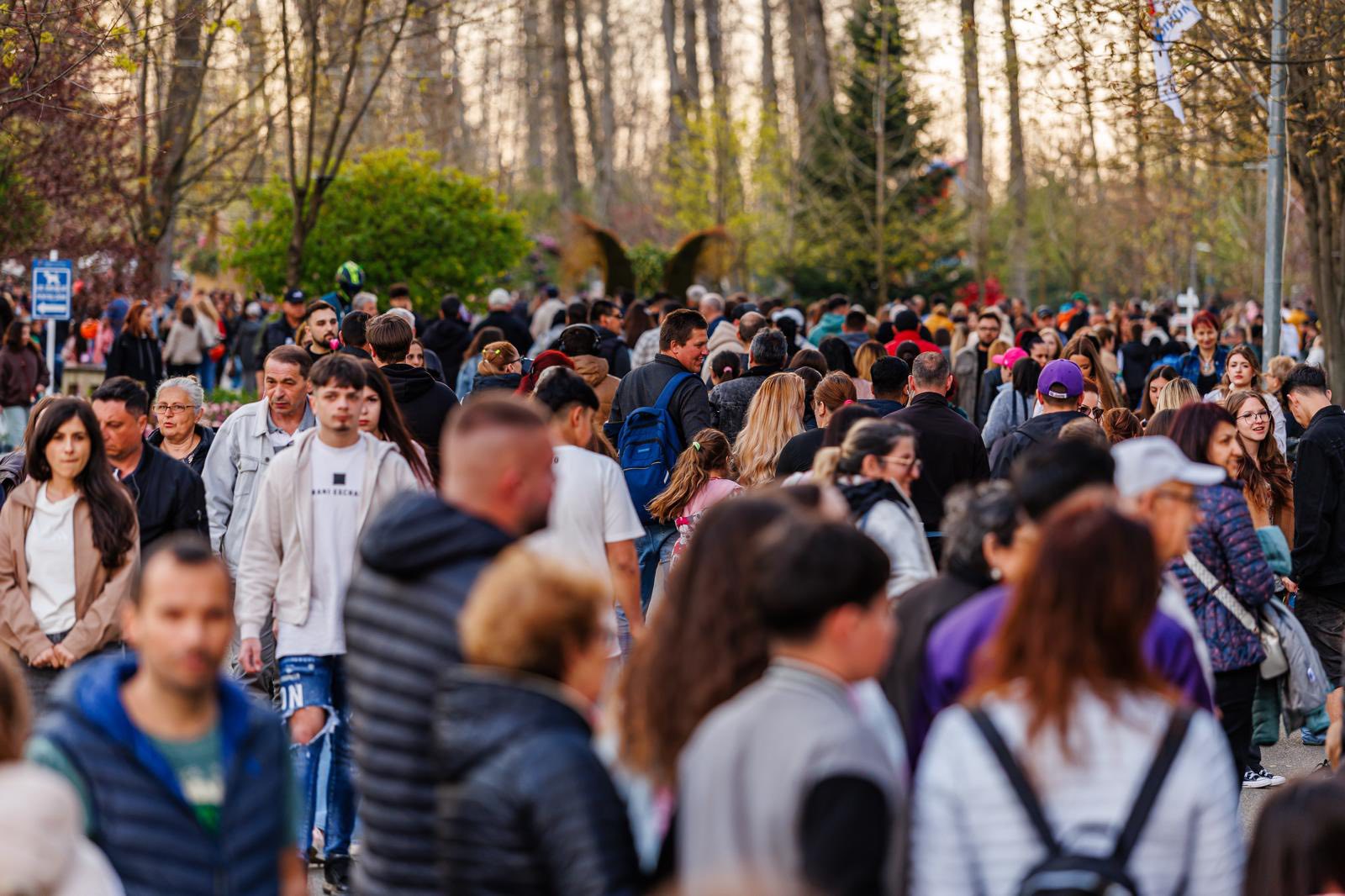 Devine obligatoriu în România