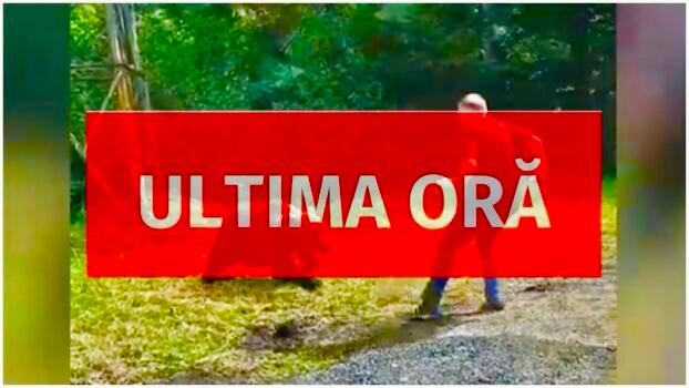 Persoană mușcată de urs, la Vidraru, în Argeș