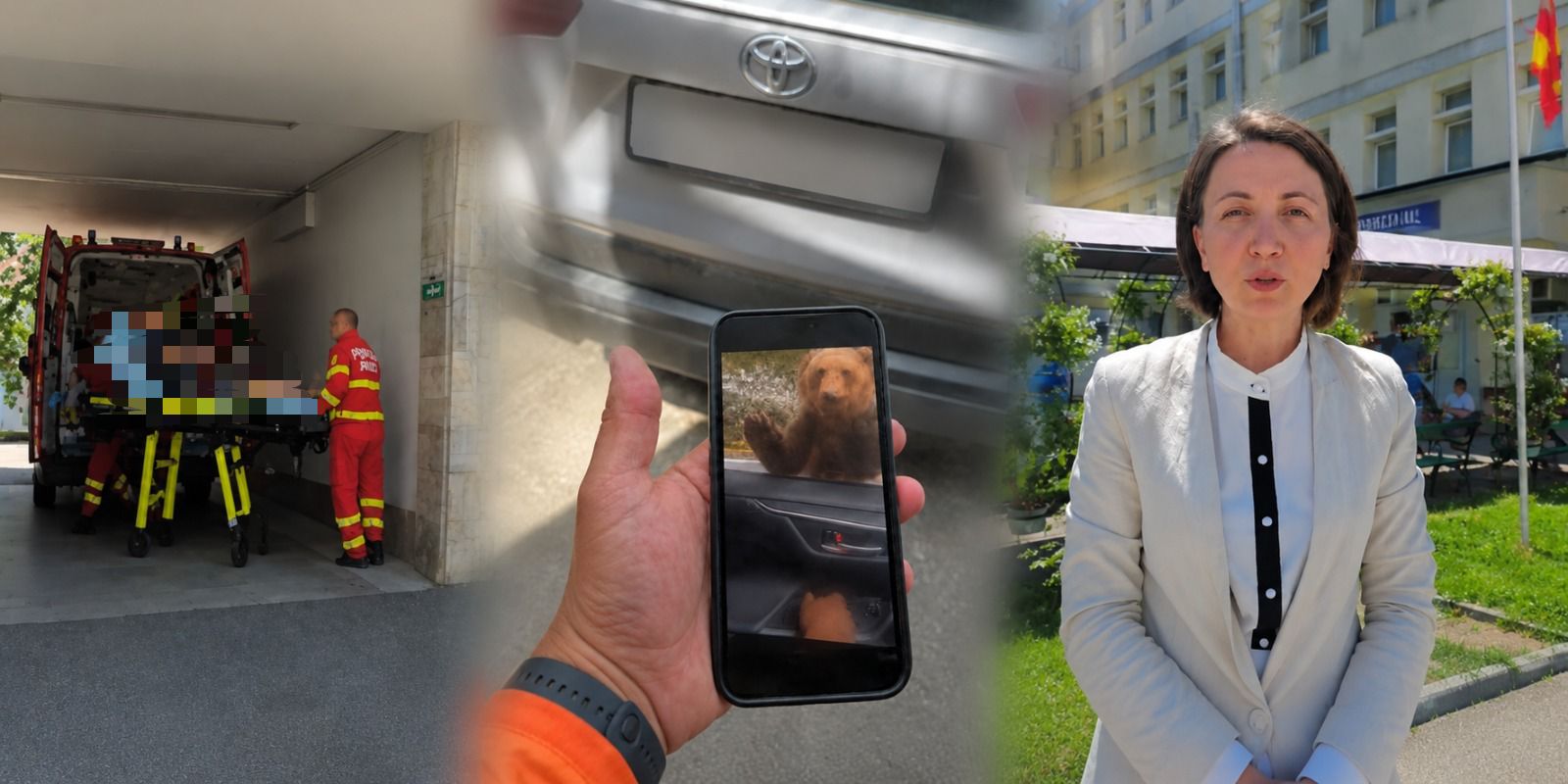 VIDEO: Momentul în care turistul a fost mușcat de urs la Vidraru! Detalii oficiale despre starea acestuia