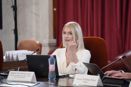 Alina Gorghiu, mesaj dur și direct: „De aceea, voi merge până la capăt”