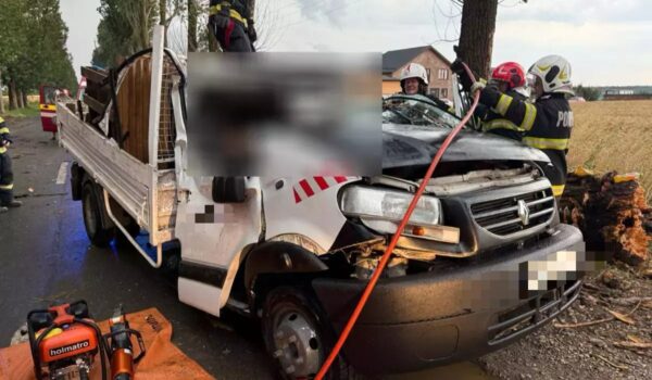 Tragedie! Un șofer a murit după ce un copac s-a prăbușit peste mașina sa
