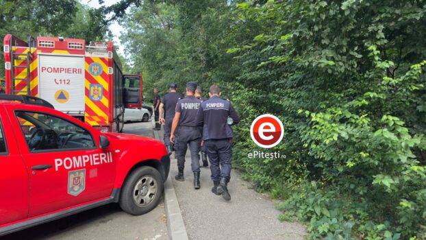 Exclusiv! Pitești: Căutări disperate în pădurea Trivale, lângă Cornul Vânătorului!