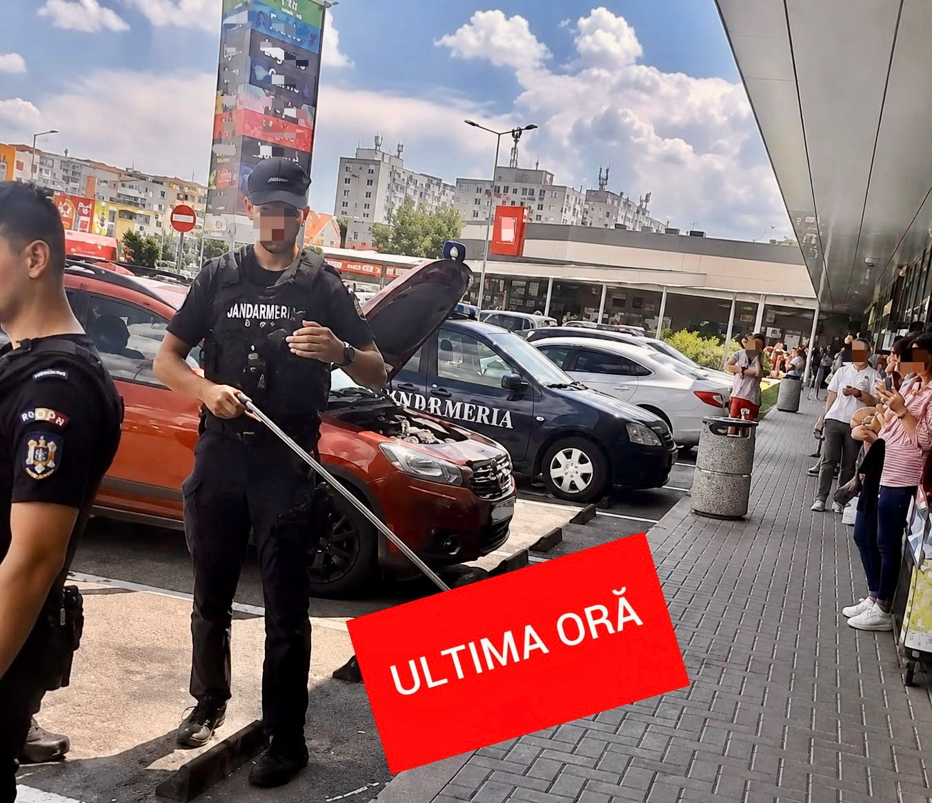 Șarpe „capturat” în parcarea unui centru comercial de către jandarmi argeșeni