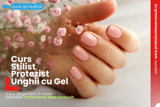 Profesional New Consult Pitești: Pregătirea care face diferența