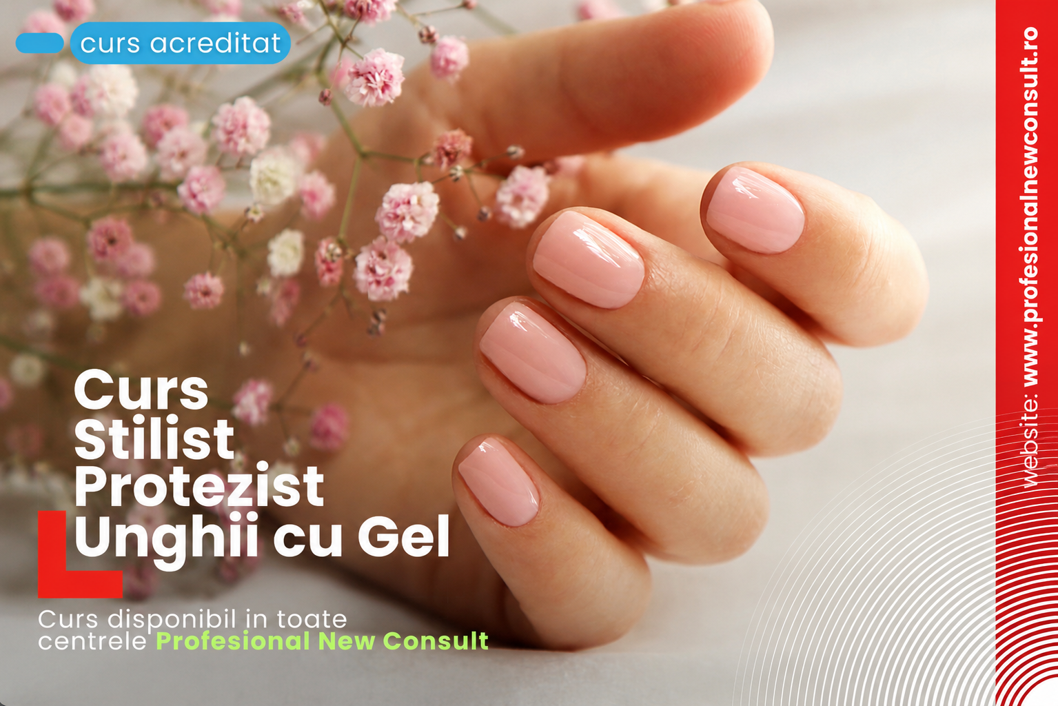 Profesional New Consult Pitești: Pregătirea care face diferența