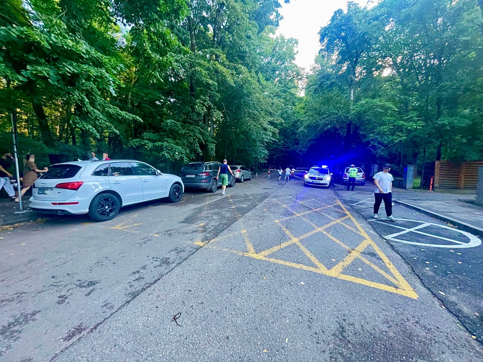 Poliția Locală Pitești lovește din nou în Parcul Trivale! Nesimțire fără limite