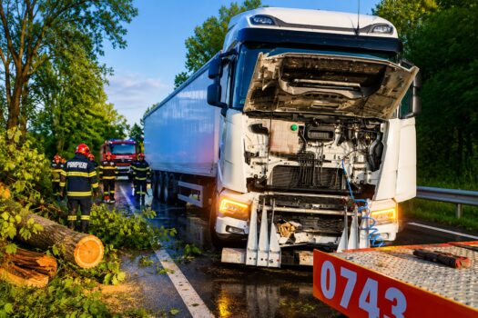 Haos pe DN7 Pitești–Sibiu! Mastodont blocat de un copac căzut
