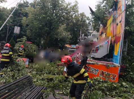 Haos meteo în Argeș: Copaci căzuți, curți și străzi inundate