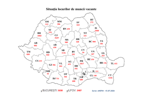 Locuri de muncă