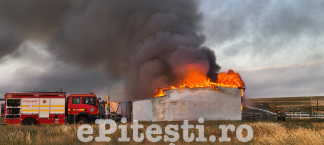 Incendiu în Argeș: Arde violent lângă Restaurantul Papillon