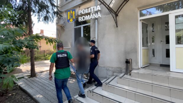 Argeș: Bărbat arestat după ce ar fi atacat o femeie de 65 de ani în pădure