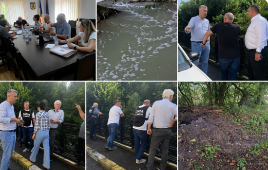 Poluare gravă în Argeș. Ape uzate deversate în râul Vâlsan