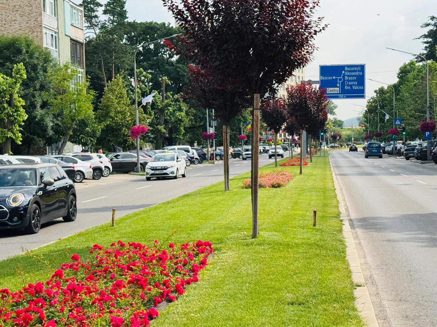 Pitești: Femeie surprinsă în timp ce lua pământ dintr-o jardinieră din centrul orașului