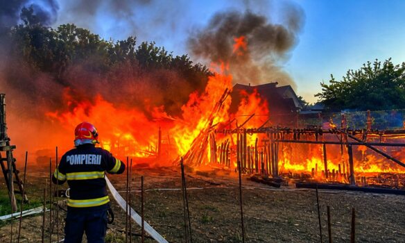 Incendiu violent în Argeș! Mii de metri pătrați de vegetație uscată și două anexe, afectate de flăcări la Ungheni