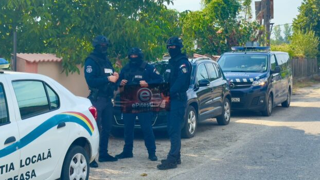 Bărbat din Schitu Golești, Argeș, riscă închisoarea după ce a omorât un șarpe găsit în casă