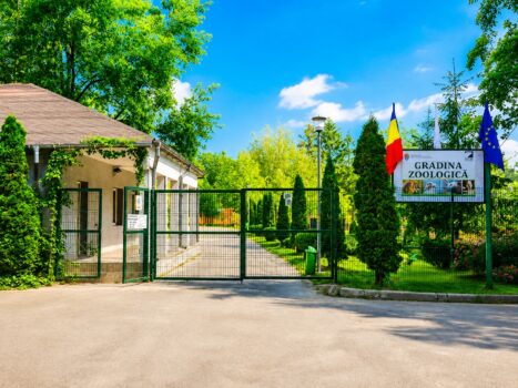 Grădina Zoologică Pitești ia măsuri speciale din cauza caniculei