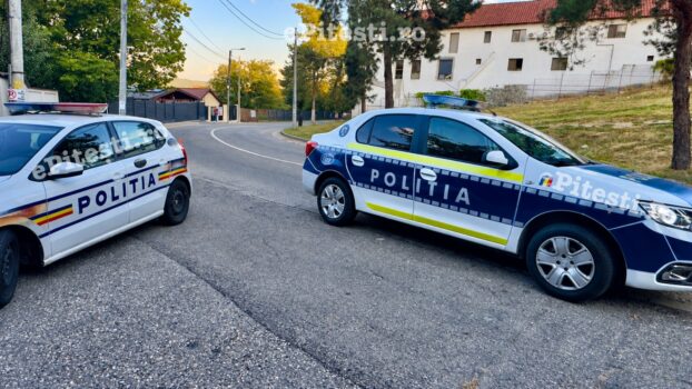 Poliția Argeș, oficial despre incidentul grav dintre socru și noră