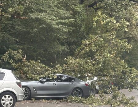Pitești. Arbore căzut peste un bolid BMW lângă restaurantul Cornul Vânătorului!