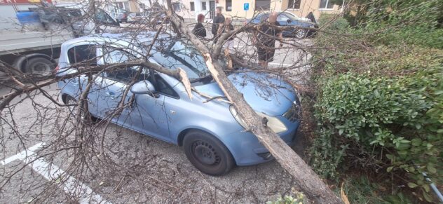 Copac căzut peste o mașină, în Pitești! Pompierii au intervenit în cartierul Prundu