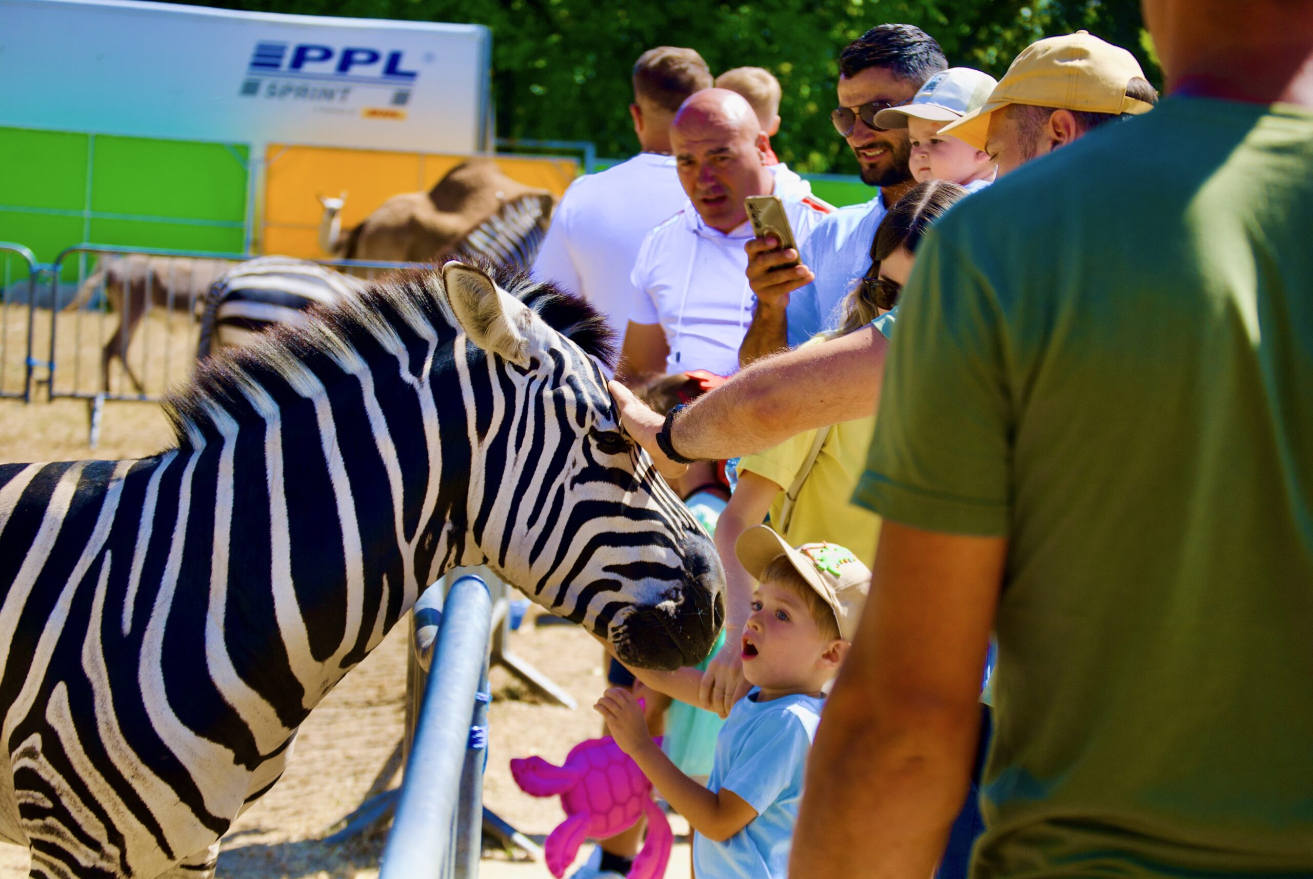 Zoo Park România