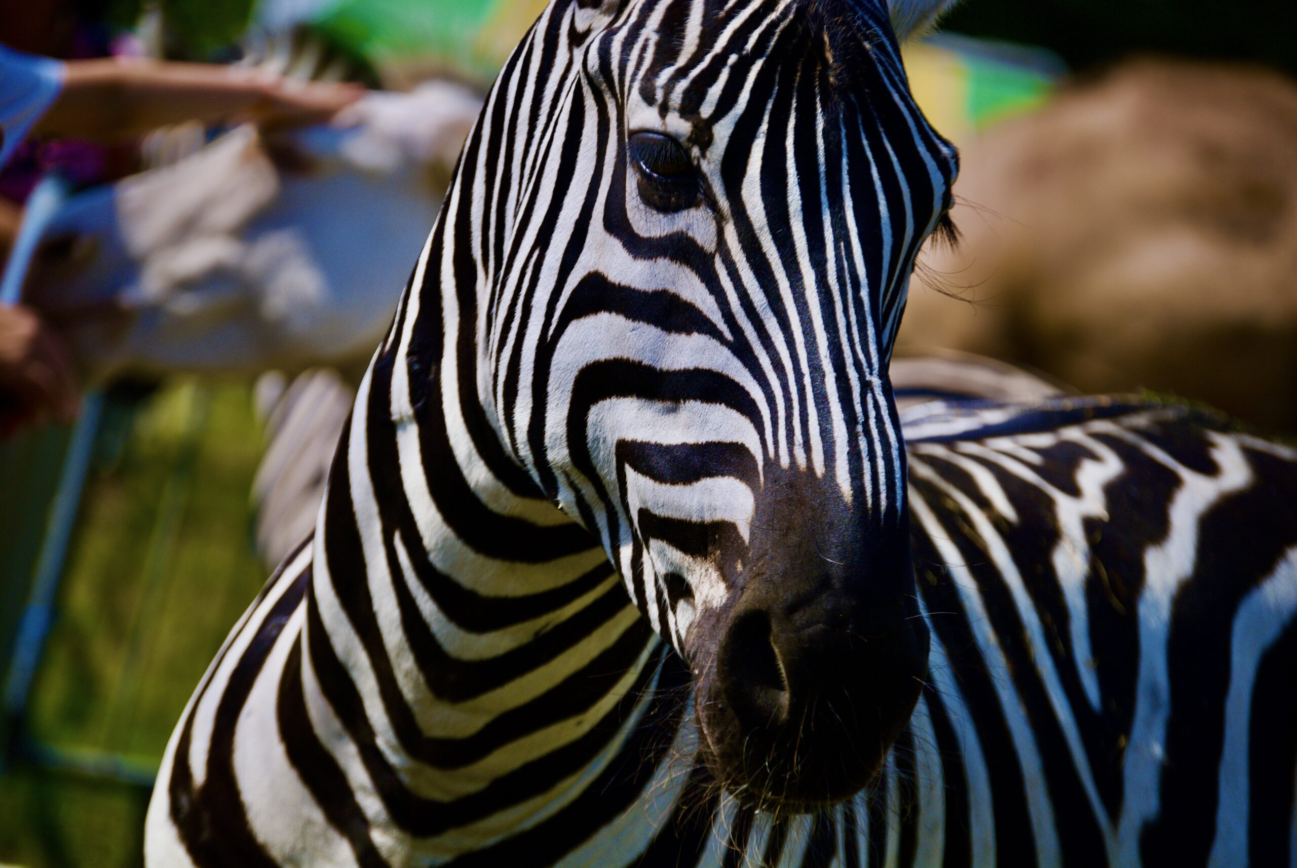 Zoo Park România