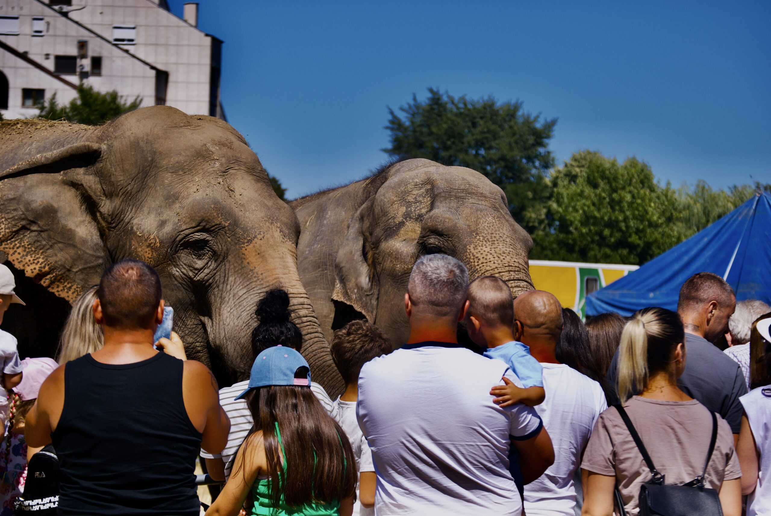 Zoo Park România