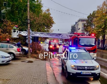 Copac căzut peste mașini în Pitești!