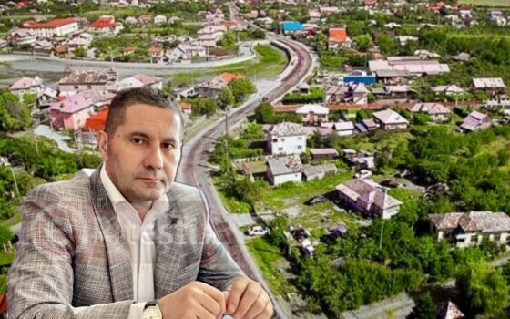 Bradu. Primarul Dan Stroe anunță o nouă campanie de sterilizare a câinilor și pisicilor