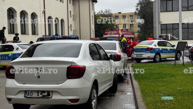 Pitești. Elevul care a tăiat cu maceta un coleg la Liceul Armand Călinescu, reținut de Poliție