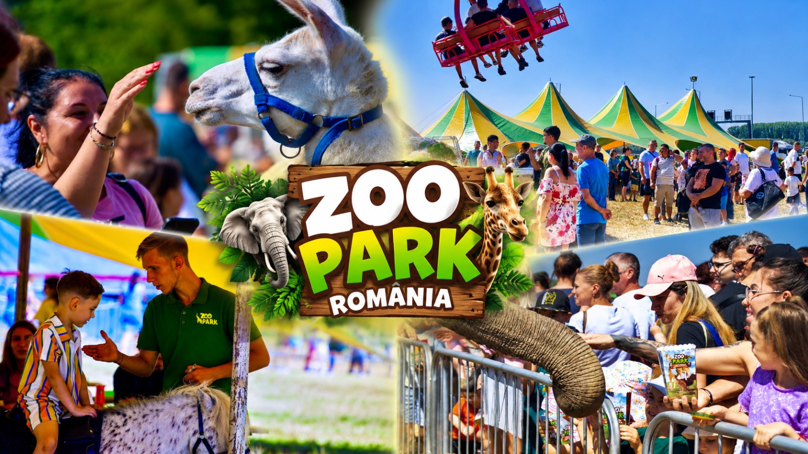 Ultima șansă! Elefanți hrăniți din palmă și zeci de animale! Zoo Park România face anunțul momentului
